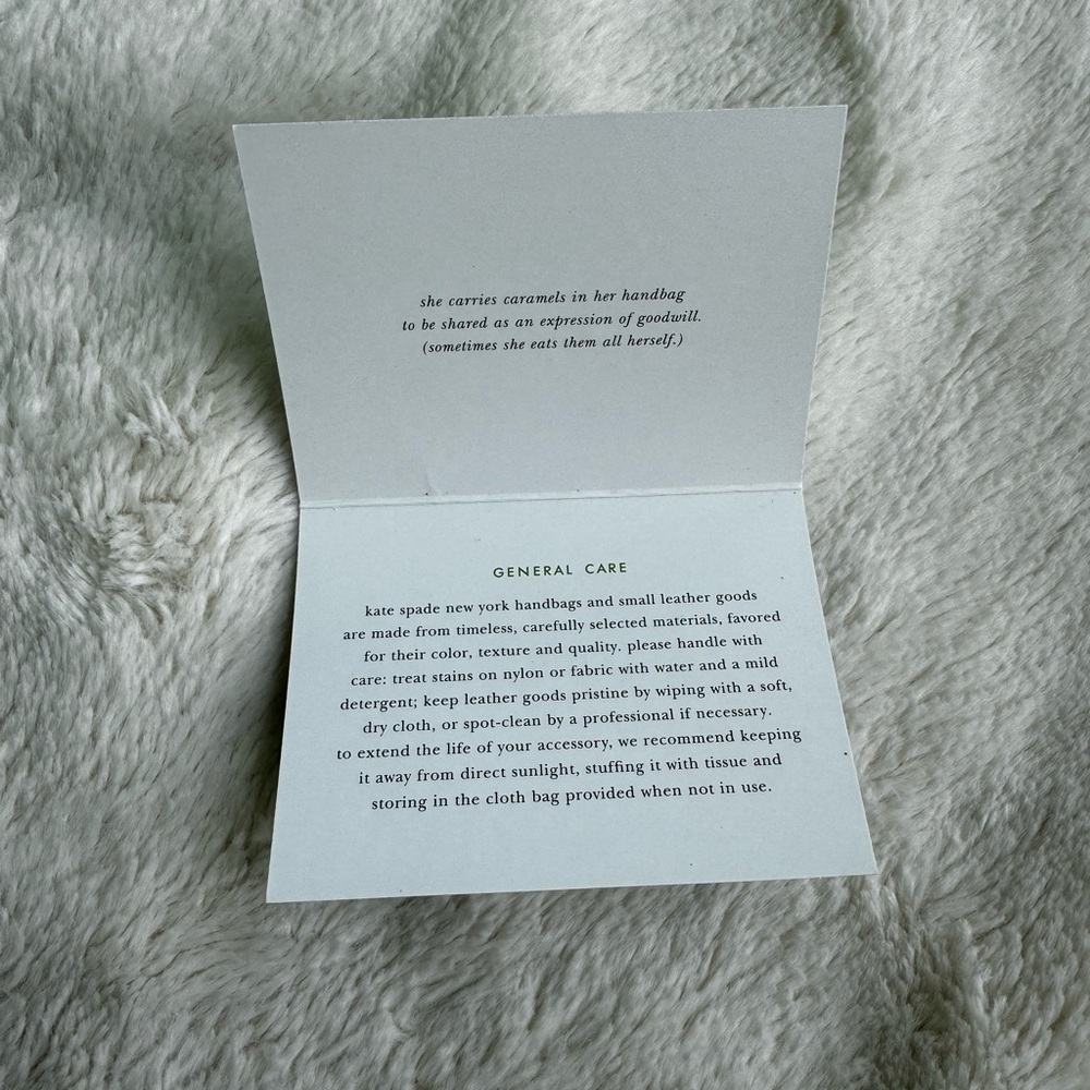 Kate Spade - Green Bag with Plaid Inside - Picture 9 of 13